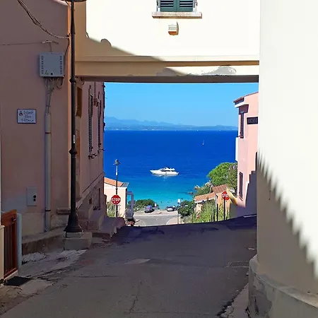 Cozy 帕拉迪索海岸